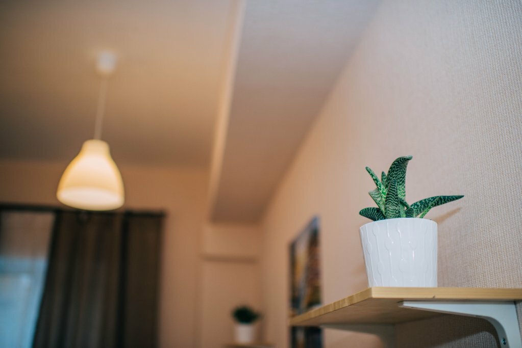 Гостиница Mr. Brown Димитровград-53