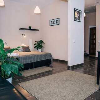 Гостиница Mr. Brown Димитровград Люкс-1