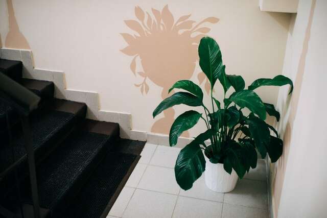 Гостиница Mr. Brown Димитровград-46